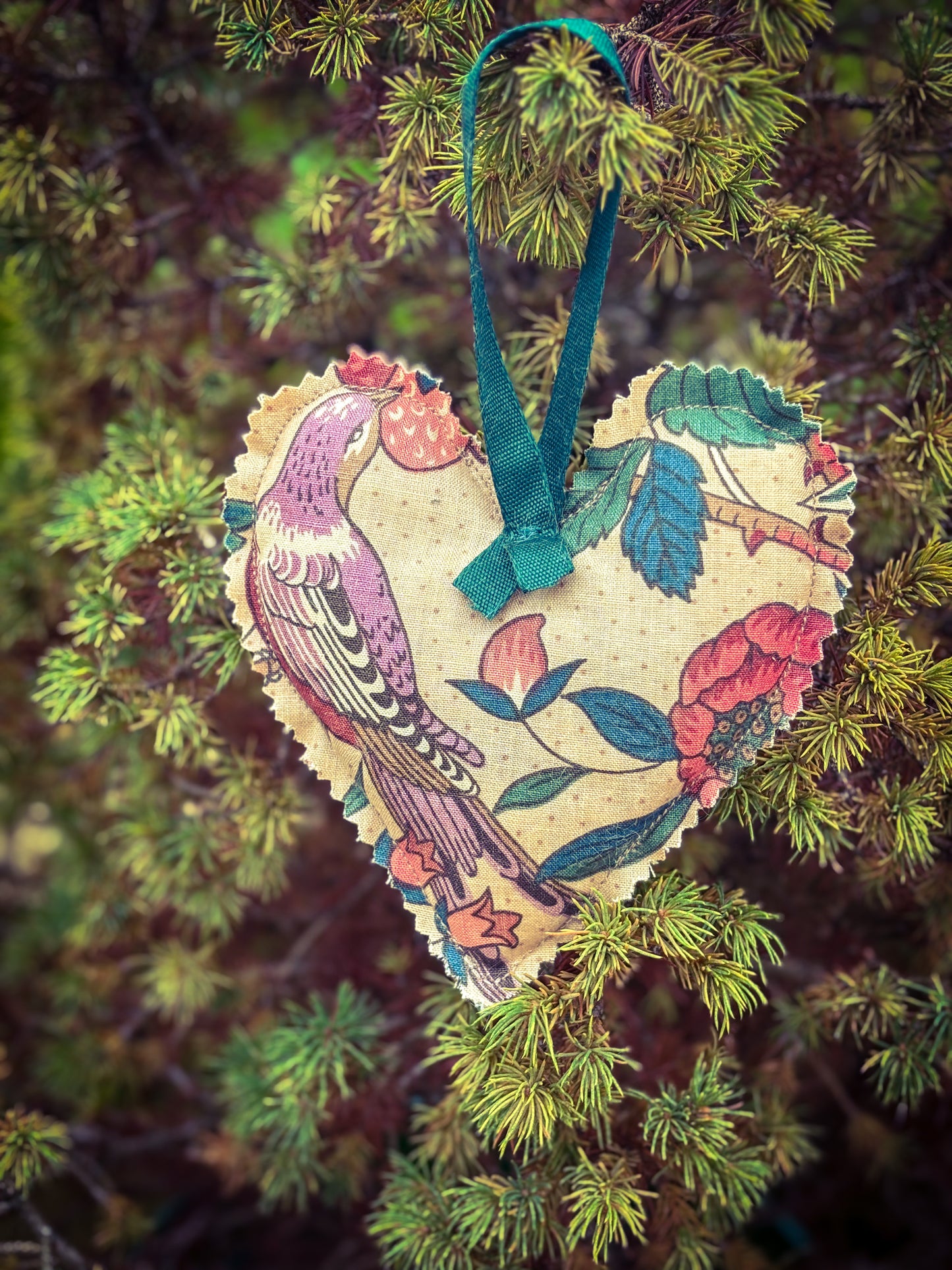 The Cotton Cycle Heart